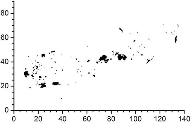 Spread of larger pieces and debris of wreckage, based on satellite image of April 11, 2010. Resolution 50 cm per pixel.