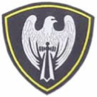 A stylized silver falcon icon, on a black background, is the badge of the 25th Spetsnaz Branch unit of the Russian Ministry of Internal Affairs Troops stationed in Smolensk.