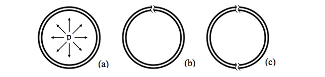 Smolensk Crash Investigation: Pressurized ring is shown in (a), quasi-static breaking at a single point in (b) and, on some occasions, at two points (c)